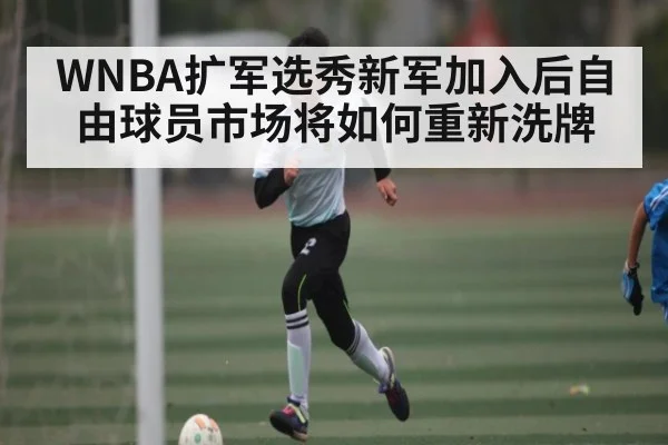 WNBA扩军选秀新军加入后自由球员市场将如何重新洗牌